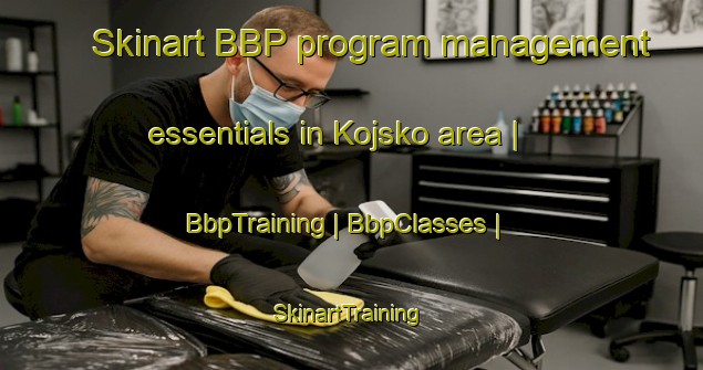 Skinart BBP program management essentials in Kojsko area | BbpTraining | BbpClasses | SkinartTraining-Slovenia